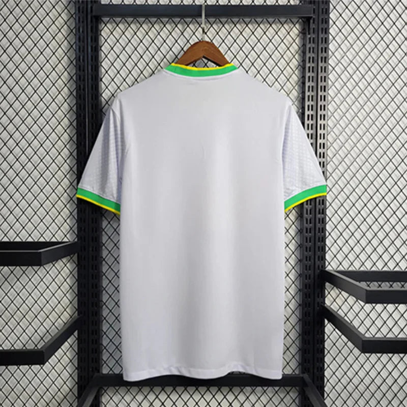 Maillot Brésil Concept 2024/2025