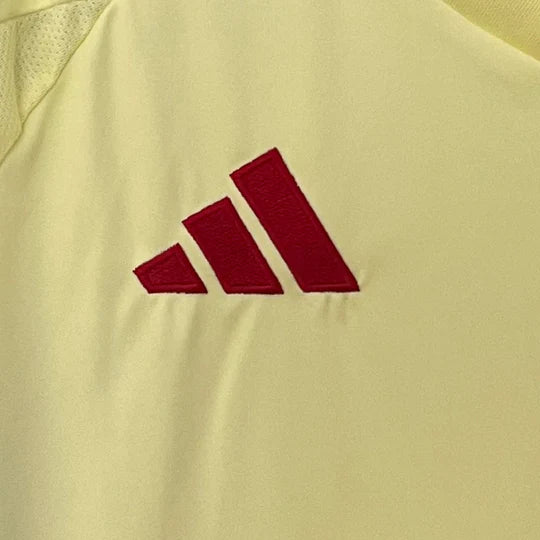 Maillot Espagne Extérieur 2024/2025